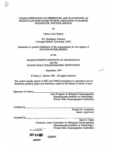CHARACTERIZATION  OF  FERREDOXIN  AND  FLAVODOXIN ... EUKARYOTIC  PHYTOPLANKTON Deana  Lynn  Erdner