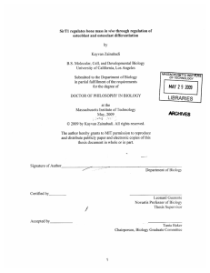 in  vivo osteoblast  and osteoclast  differentiation by Kayvan  Zainabadi