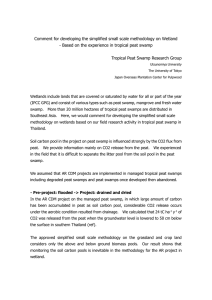 Comment for developing the simplified small scale methodology on Wetland