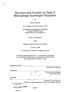 Structure  and  Function of Class  A