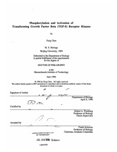 Phosphorylation  and  Activation  of