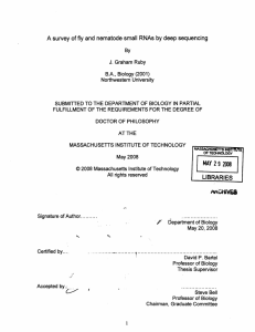 A survey of fly and  nematode  small ...