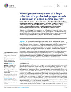 Whole genome comparison of a large collection of mycobacteriophages reveals