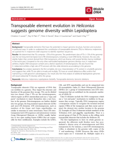 Transposable element evolution in Heliconius suggests genome diversity within Lepidoptera Open Access