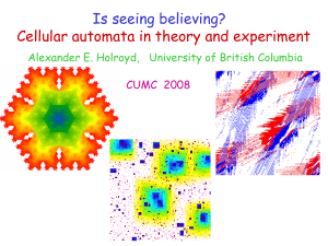 Is seeing believing? Cellular automata in theory and experiment CUMC  2008