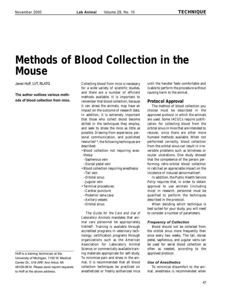 Methods of Blood Collection in the Mouse TECHNIQUE November 2000
