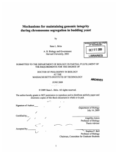 Mechanisms  for maintaining genomic  integrity LIBRARIES