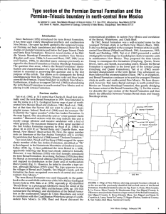 Type section of the Permian