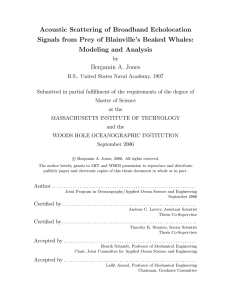 Acoustic Scattering of Broadband Echolocation Modeling and Analysis