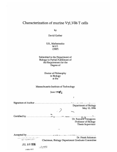 Characterization of  murine Vyl,V66  T cells