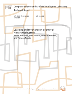 Learning and Invariance in a Family of Hierarchical Kernels Technical Report