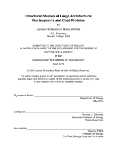 Structural Studies of Large Architectural Nucleoporins and Coat Proteins