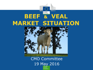 BEEF VEAL MARKET  SITUATION &amp;