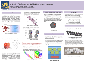 A Study of Polymorphic Sickle Hemoglobin Polymers