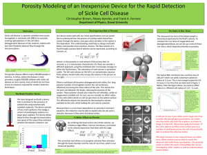 Porosity Modeling of an Inexpensive Device for the Rapid Detection