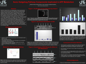 Sonic Hedgehog Pathway Components Implicated in APP Metabolism Abstract