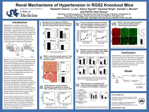 Renal Mechanisms of Hypertension in RGS2 Knockout Mice Introduction