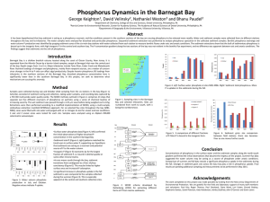 Phosphorus Dynamics in the Barnegat Bay George Keighton , David Velinsky