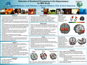 Detection of Emotional Processing in the Hippocampus: an fMRI Study PhD