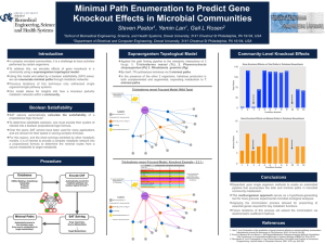 Minimal Path Enumeration to Predict Gene Knockout Effects in Microbial Communities