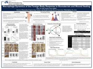 Macrophage Dynamics of the Foreign Body Response to Biomaterials and...