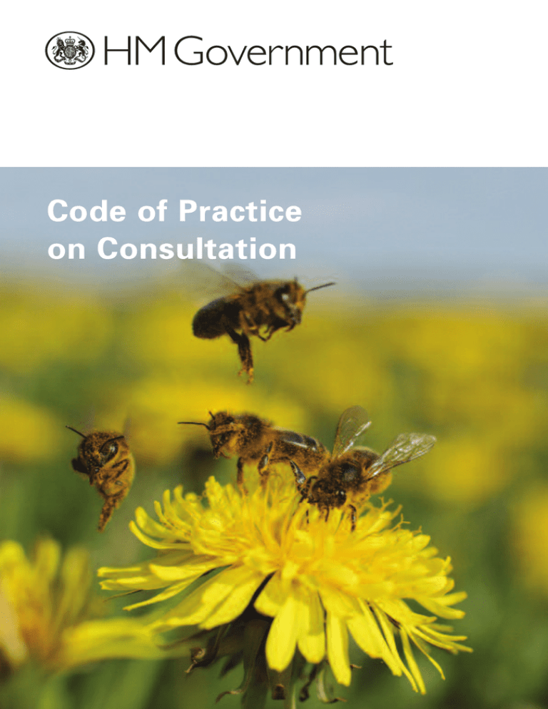 code-of-practice-on-consultation