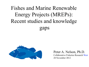 Fishes and Marine Renewable Energy Projects (MREPs): Recent studies and knowledge gaps
