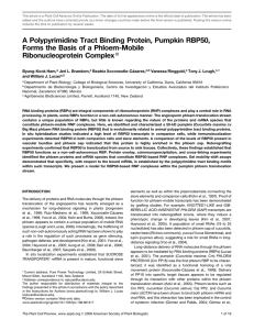 A Polypyrimidine Tract Binding Protein, Pumpkin RBP50, Ribonucleoprotein Complex