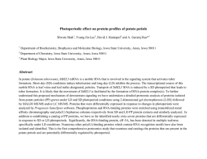 Photoperiodic effect on protein profiles of potato petiole