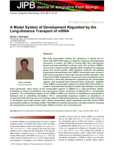 A Model System of Development Regulated by the Invited Expert Review