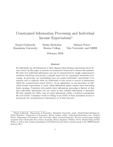 Constrained Information Processing and Individual Income Expectations