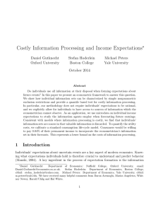 Costly Information Processing and Income Expectations