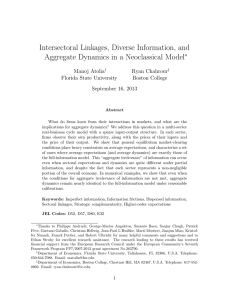 Intersectoral Linkages, Diverse Information, and Aggregate Dynamics in a Neoclassical Model ∗