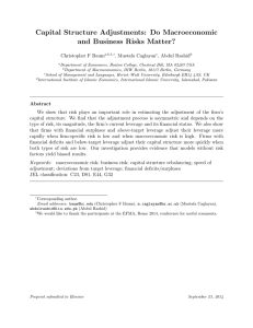 Capital Structure Adjustments: Do Macroeconomic and Business Risks Matter? Christopher F Baum