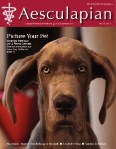 Aesculapian Picture Your Pet ® Finalists from our
