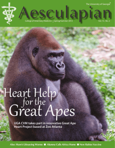 Great Apes Aesculapian Heart Help for the