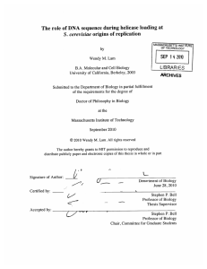 The  role  of DNA  sequence  during... S.  cerevisiae e9_LjBRA RIES SEP  1