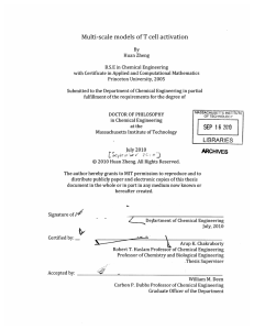 Multi-scale  models  of T cell  activation