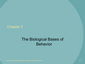 The Biological Bases of Behavior Chapter 3 –1