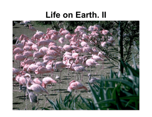 Life on Earth. II