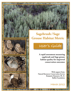 User’s Guide Sagebrush /   Sage Grouse Habitat Metric