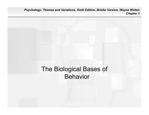 The Biological Bases of Behavior Chapter 3