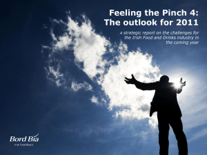 Feeling the Pinch 4: The outlook for 2011