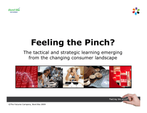 Feeling the Pinch? The tactical and strategic learning emerging 1