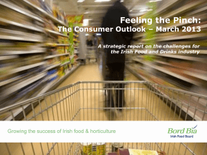 Feeling the Pinch: The Consumer Outlook – March 2013