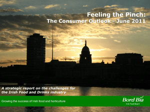 Feeling the Pinch: The Consumer Outlook - June 2011