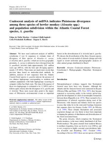 Coalescent analysis of mtDNA indicates Pleistocene divergence