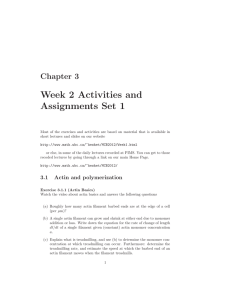 Week 2 Activities and Assignments Set 1 Chapter 3