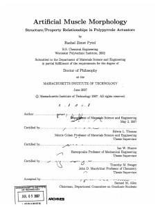 Artificial  Muscle  Morphology Rachel