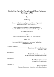 Fertile Free Fuels for Plutonium and Minor Actinides Burning in LWRs